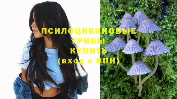 ПСИЛОЦИБИНОВЫЕ ГРИБЫ Армянск