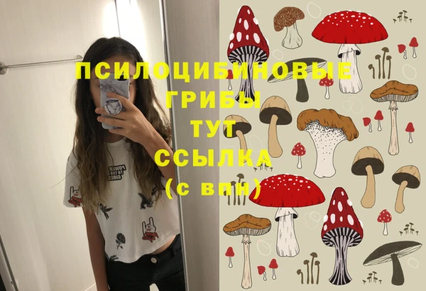 ПСИЛОЦИБИНОВЫЕ ГРИБЫ Армянск